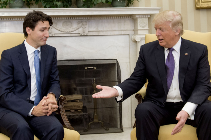 ‘She’s a total professional’: Seven times Trump was surprisingly nice