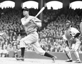 The Original Hammering Hank