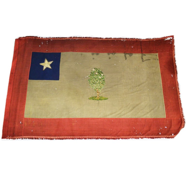 Under the Old Magnolia Tree