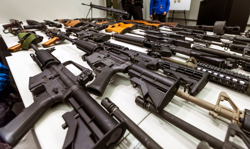 House votes to undo Obama-era gun control rule