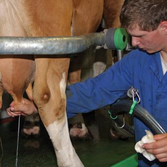 Farmers  with Benefits