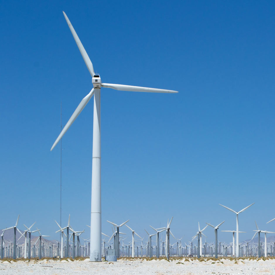 Blowin’ in the Wind