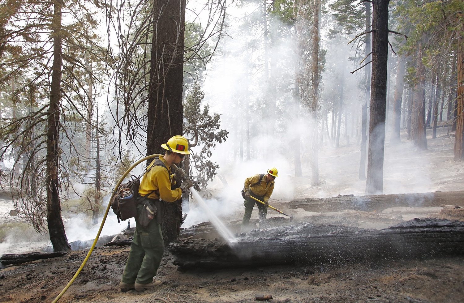 Bill declaring wildfires a natural disaster clears Senate panel