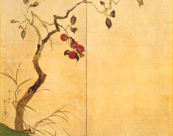 Natural Harmony