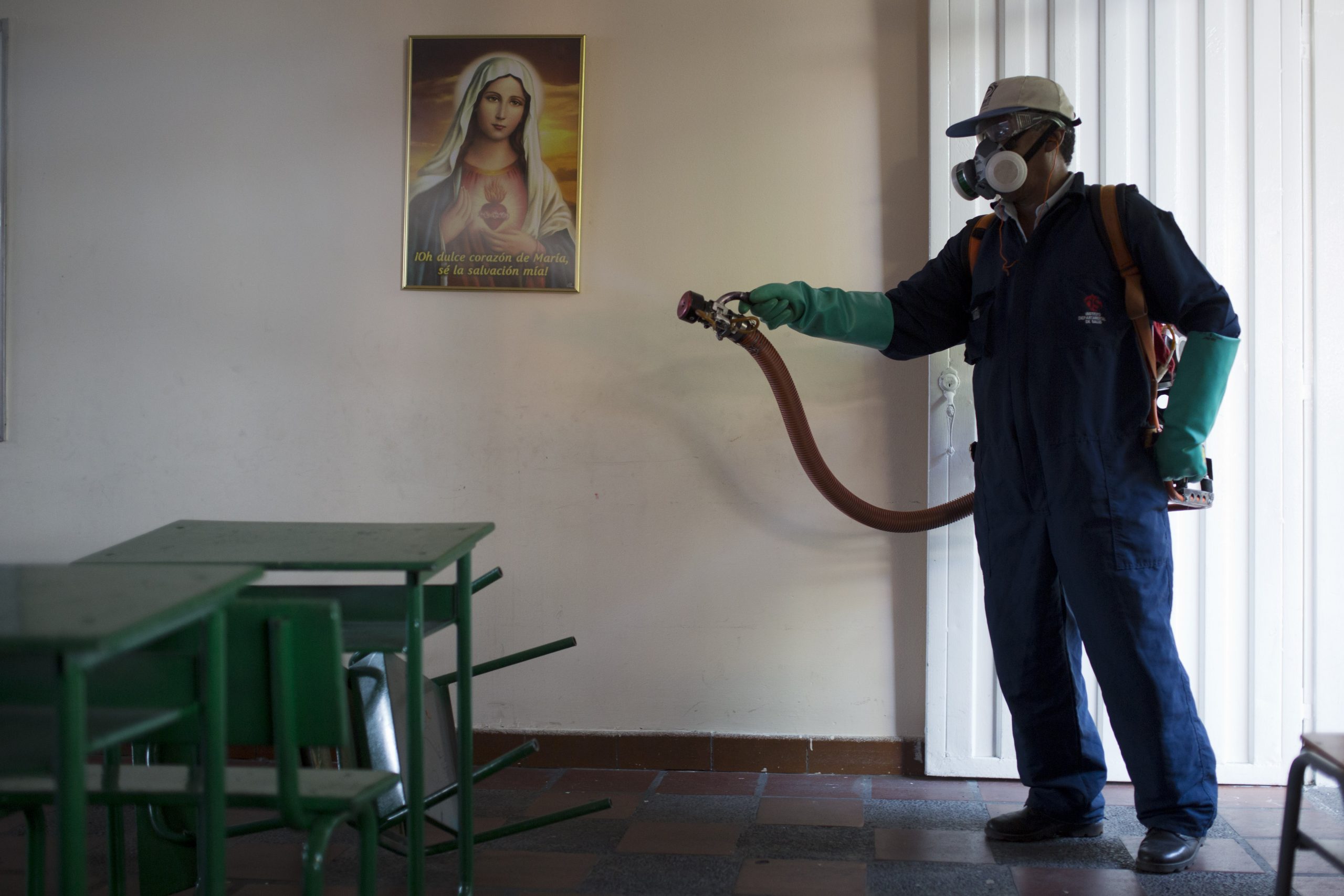 WHO debunks theory that insecticide behind birth defects
