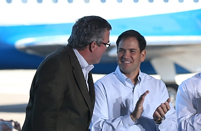 Marco Rubio: Jeb Bush would be a ‘very credible candidate’