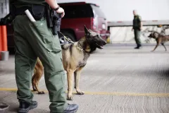 736 known or suspected terrorists apprehended at U.S. border in fiscal 2023