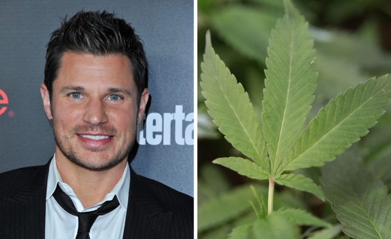 If sale of pot in Ohio becomes legal,Â former 98 Degrees band member and Jessica Simpson's ex-husband Nick Lachey will be partial owner of the 10 farms that almost all marijuana growth will be restricted to. (AP Photos)