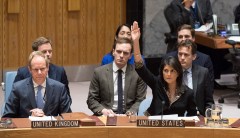 ‘Proud to cast the American veto’: Nikki Haley paves the way for a post-Trump foreign policy