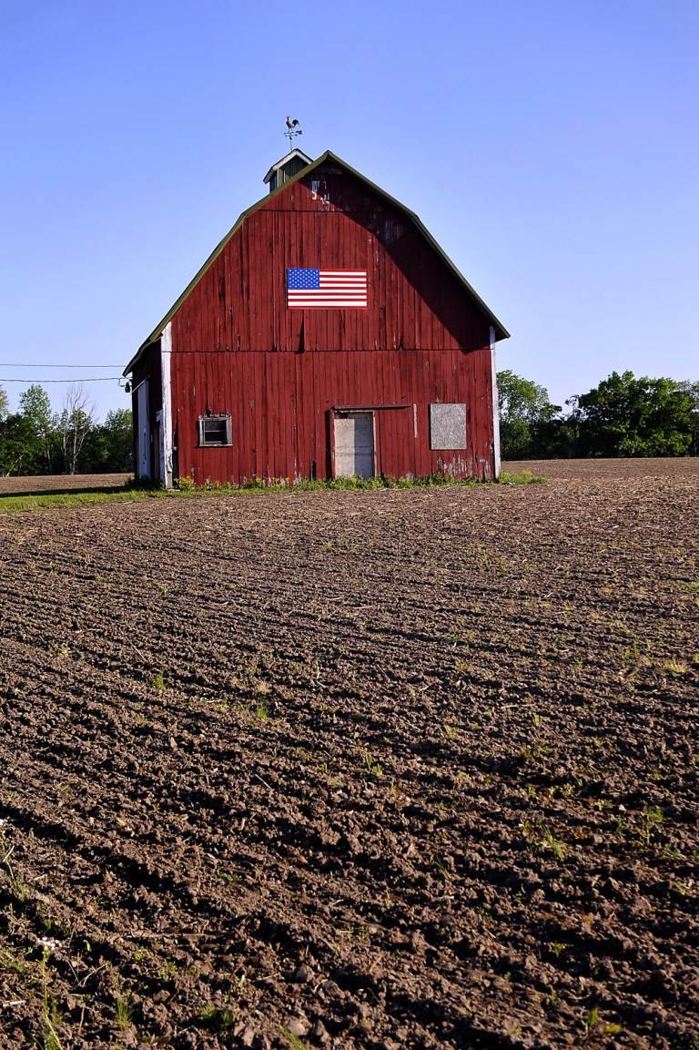 A flag-decorated barn is shown in a farm field near Lexington, Mich., June 5, 2014. Barns decorate Michigan's landscape, from rural rolling fields to the outskirts of cities, where they're tucked between subdivisions as relics of an earlier time. (AP Photo/Lansing State Journal, Rod Sanford)
