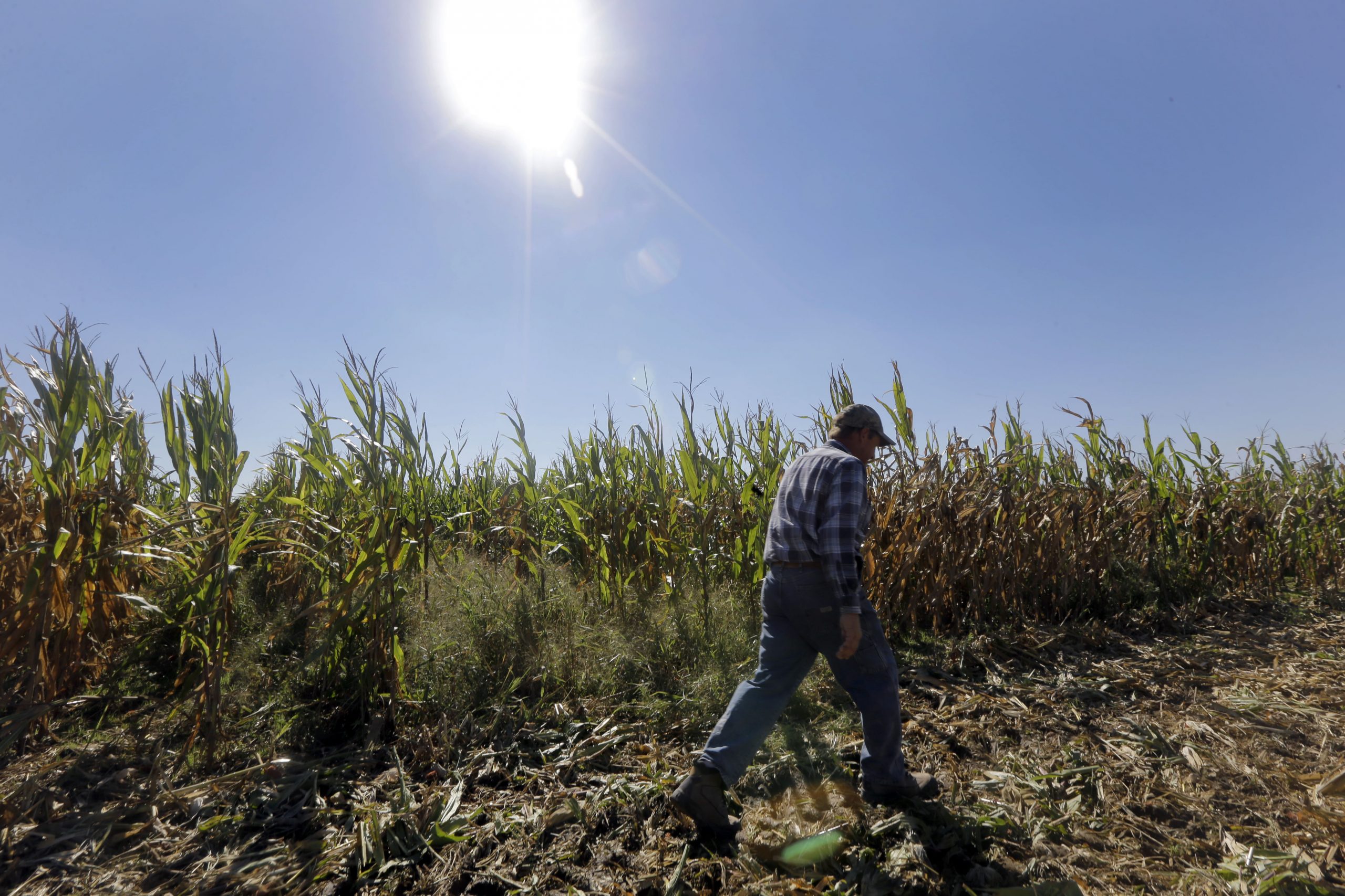 Senators introduce bipartisan bill to increase internet access in rural areas