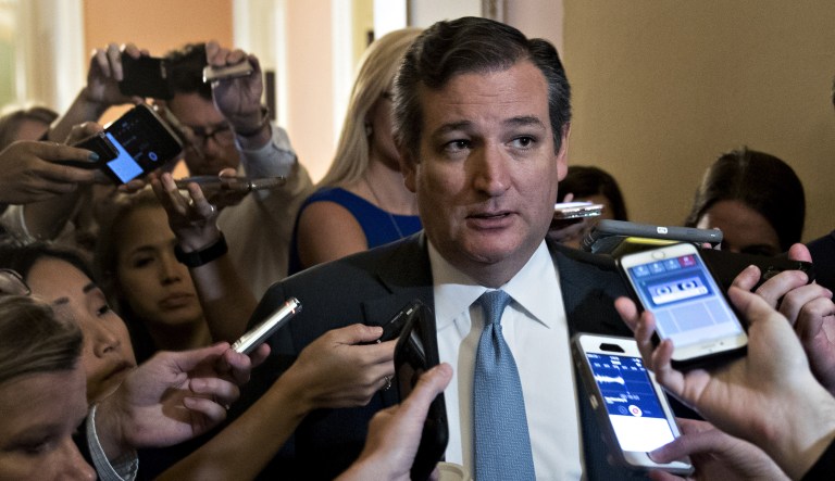 Sen. Ted Cruz, R-Texas, said on the floor that economic growth is the most important piece of tax reform, and that the new tax system must be simple, and fair by lowering everyone taxes. (Andrew Harrer/Bloomberg)