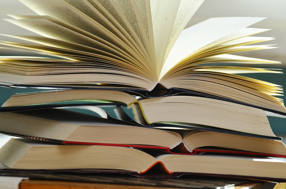 The End of Men (In Literature)