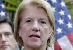 Meet the new women of the GOP