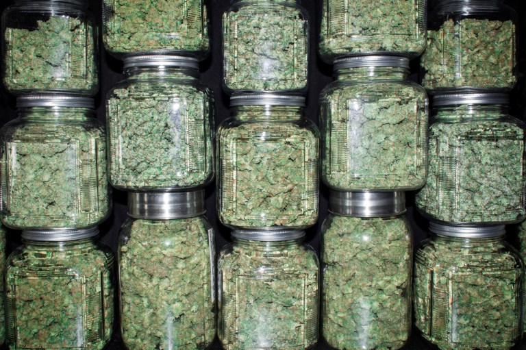 According to a CBS study, a majority of men continues to favor marijuana legalization (59 percent), and now most women favor it as well (54 percent). (istock photo)