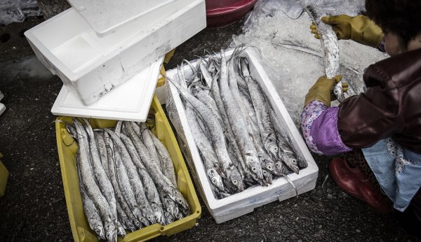 Why China’s fishing habits are a much bigger problem than Japan’s
