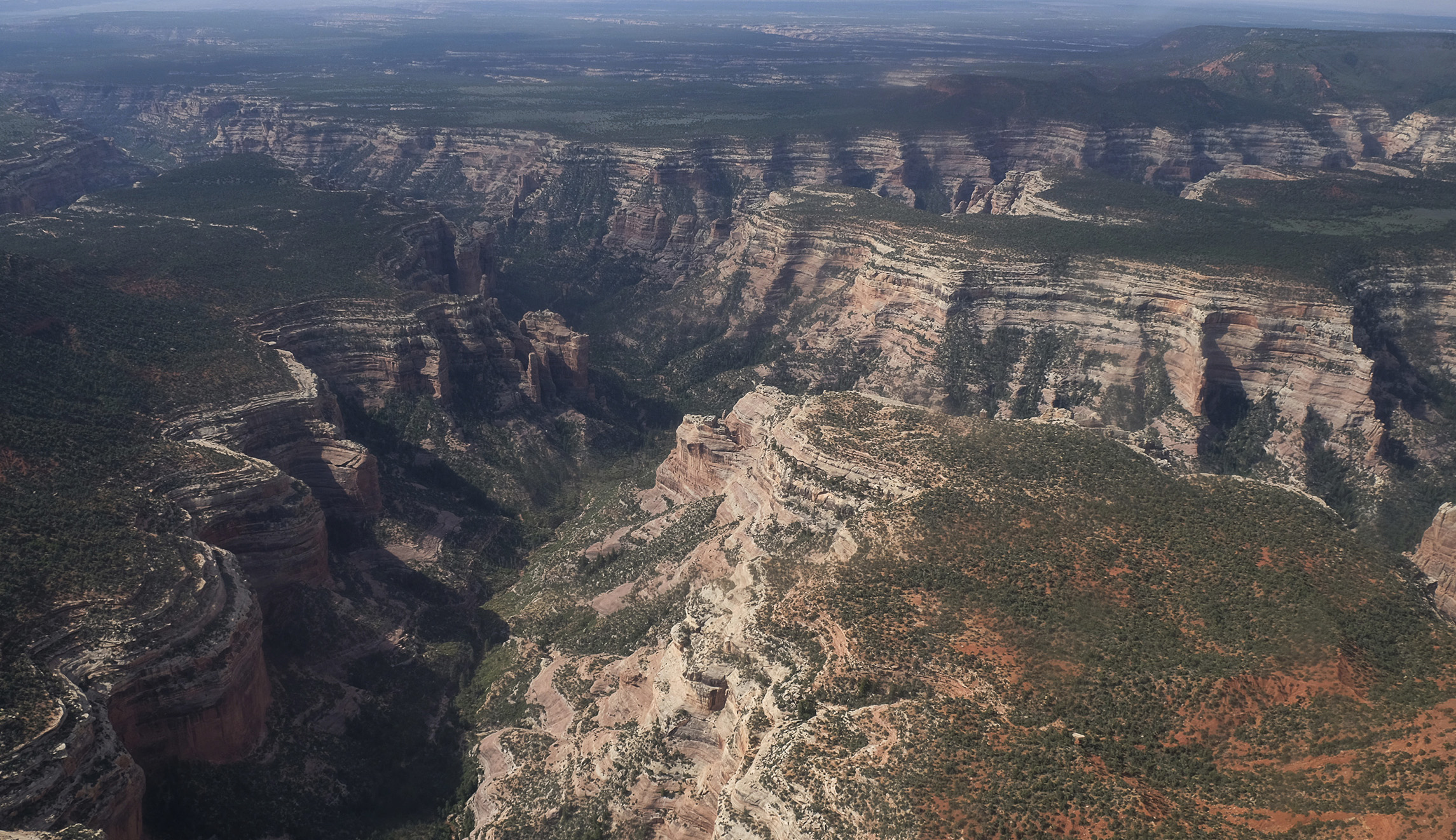 Researchers discover fossils in area Trump removed from Bears Ears monument