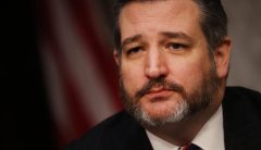Ted Cruz rips Sherrod Brown for ‘idiotic’ complaint about fellow senator not wearing a mask ’50 feet away’