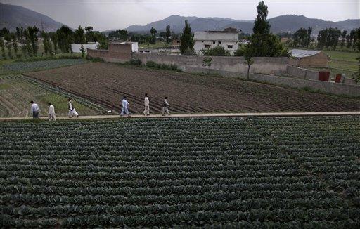 Al Qaeda looks for new homes after setbacks in Pakistan