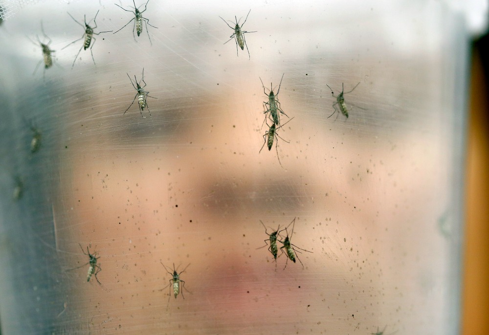 White House threatens to veto rebranded Zika bill