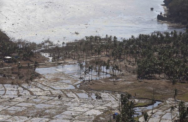 After Haiyan, Philippines expands crop insurance