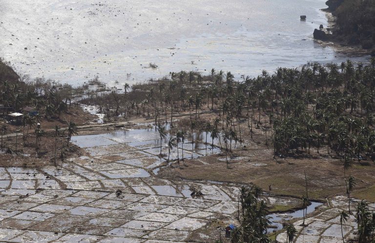 FILE - In this Nov. 14, 2013 file photo, rice fields are flooded following Typhoon Haiyan, in Hernani, eastern Samar, central Philippines. The aftermath of Typhoon Haiyan in the Philippines has added urgency to finding a solution to a longstanding problem: less than 10 percent of farmers have crop insurance, and while its advantages are widely understood, few can afford it. (AP Photo/Wong Maye-E, File)