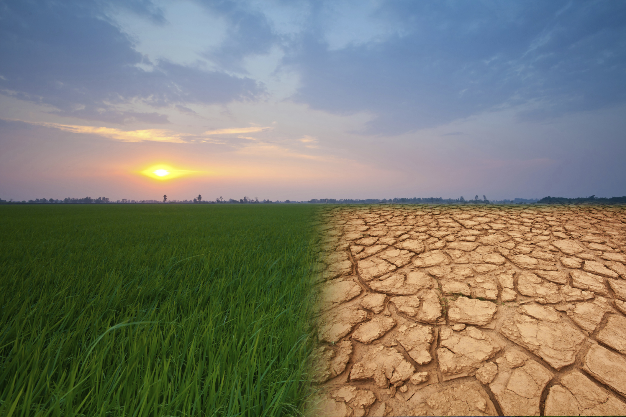Sheldon Whitehouse: ‘2015 would be a very good year’ for climate change legislation