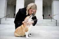SF Chron: Critics howl over lobbyist walking Gov. Jerry Brown’s dog