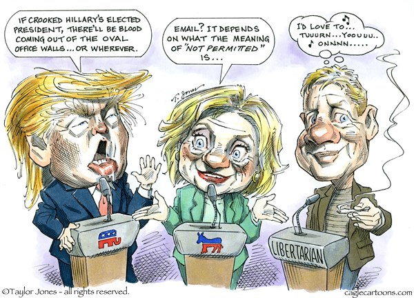 Editorial cartoon: Gary Johnson for president