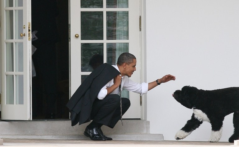 President Barack Obama greets his dog Bo outside the Oval Office of the White House March 15, 2012. (Photo by Martin H. Simon-Pool/Getty Images)