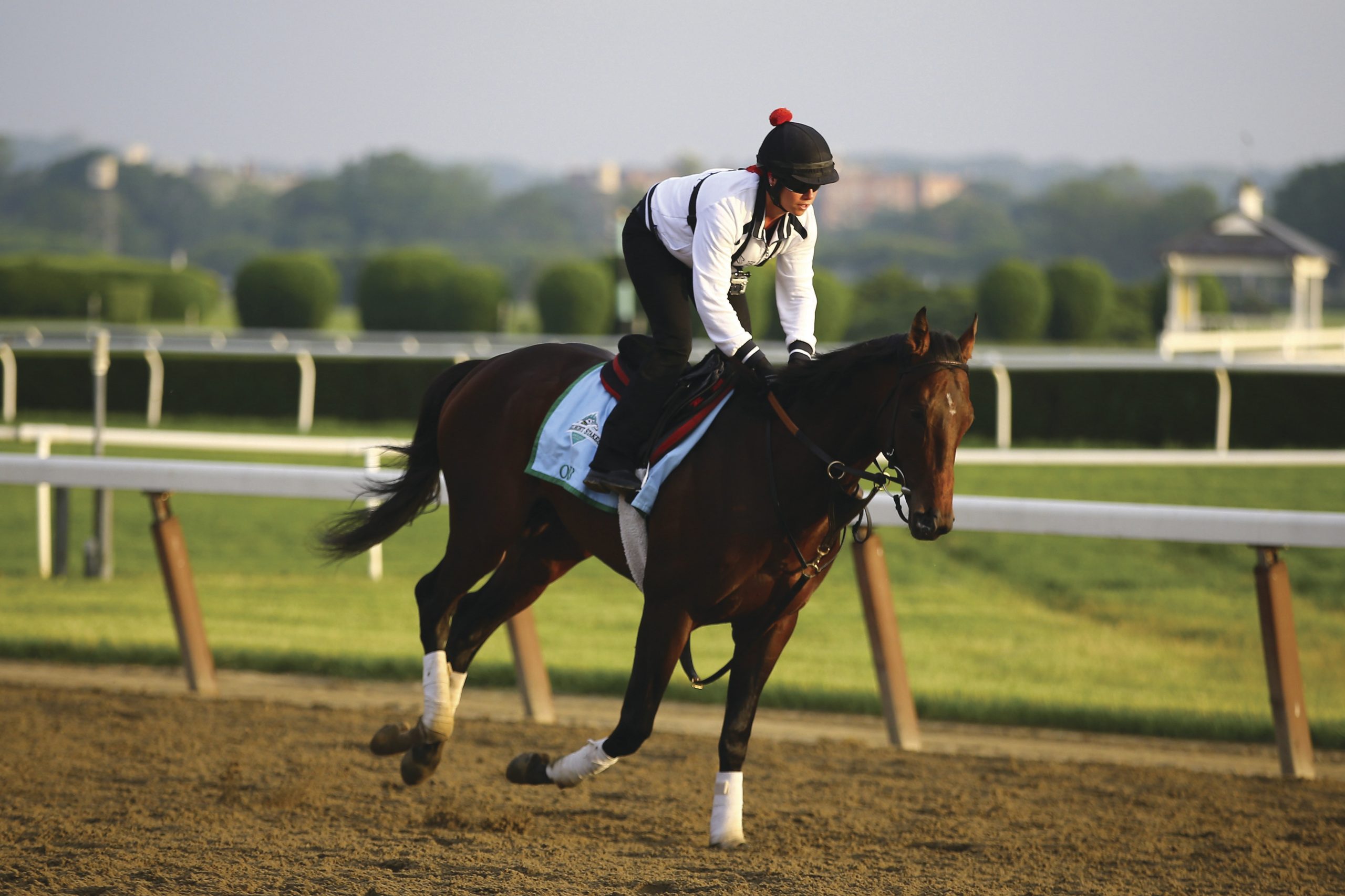 Rick Snider: It will be Orb once again at Belmont
