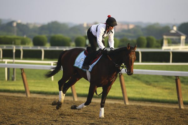 Rick Snider: It will be Orb once again at Belmont
