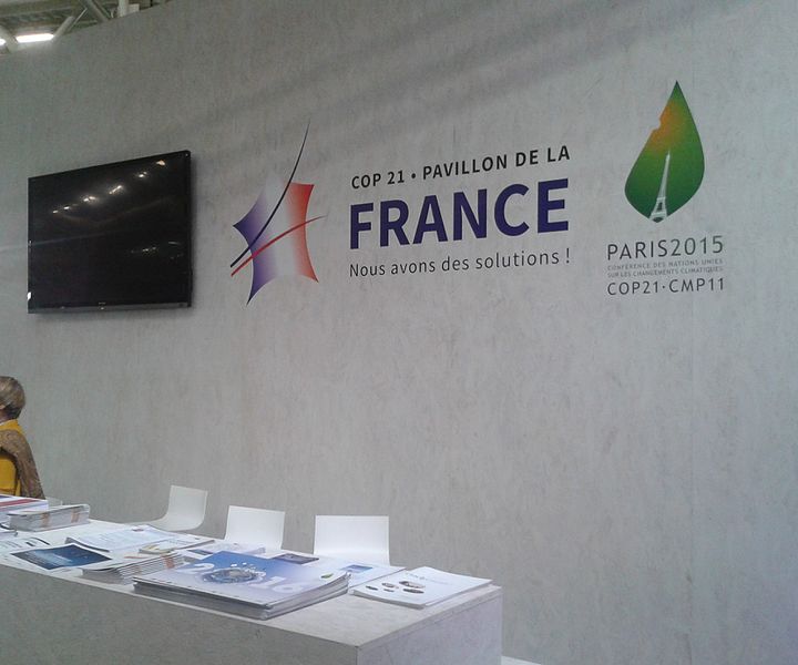 The Economic Consequences of COP21