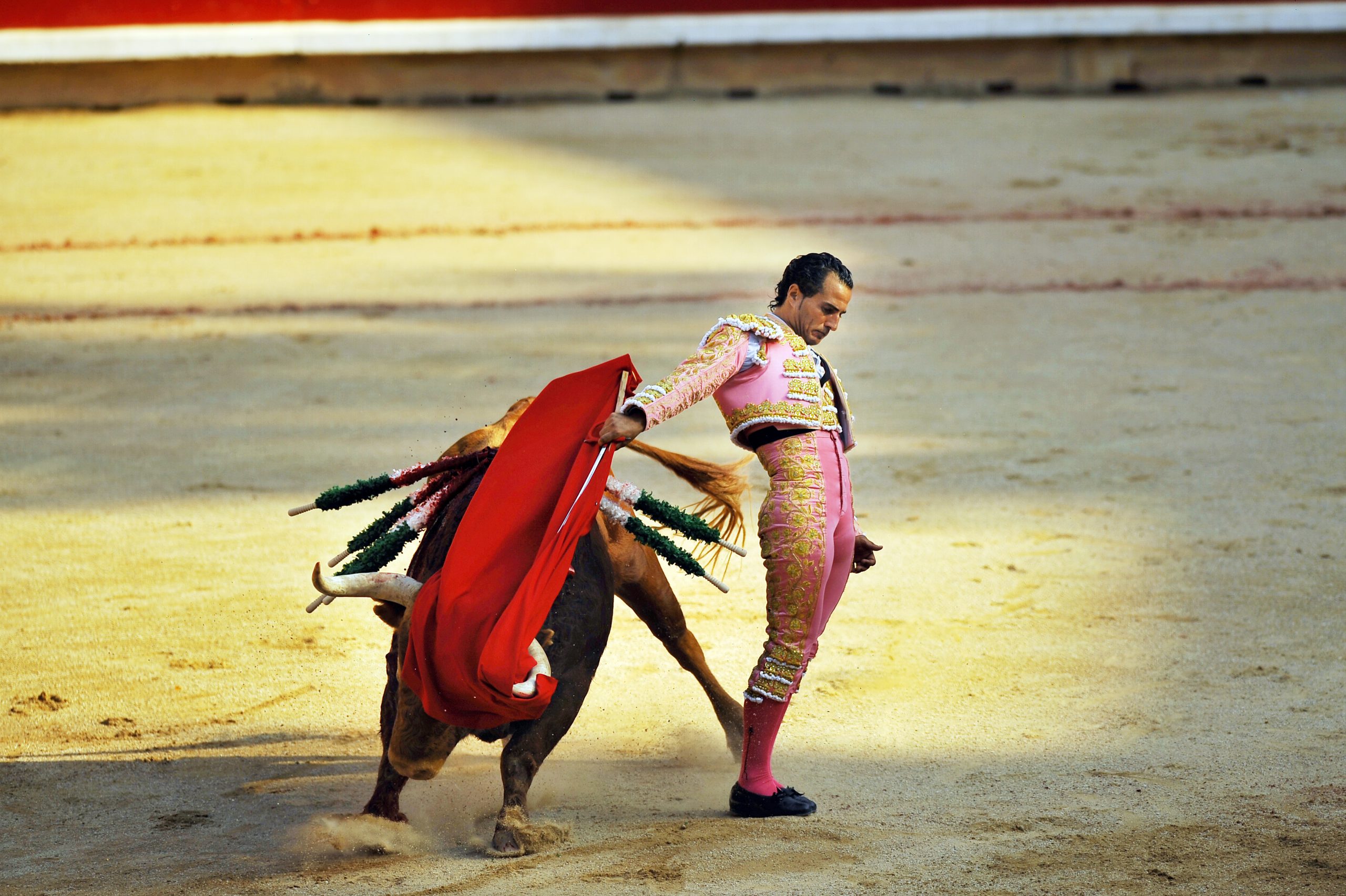 The death of a matador will, paradoxically, make bullfighting more popular