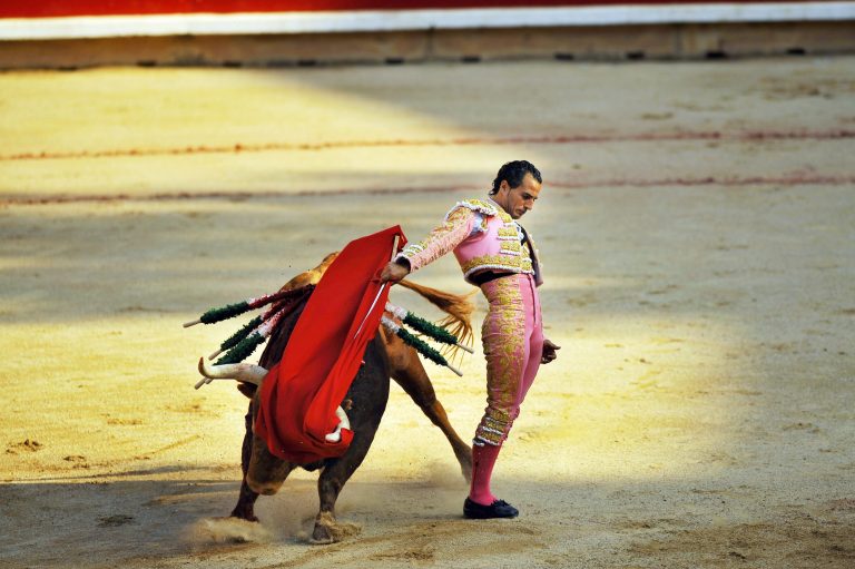 Spanish bullfighter Ivan Fandino performs with a bull from the Pedraza de Yeltes ranch, at the San Fermin Festival, in Pamplona, northern Spain. (AP Photo/Alvaro Barrientos)