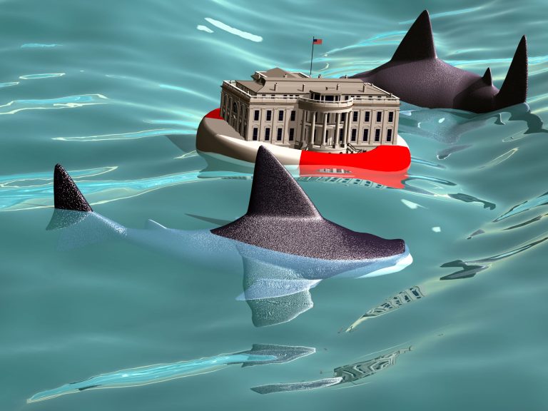 White House not following ‘ups and downs’ of Obama’s poll numbers