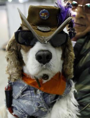 Prince George’s celebrates Adopt-A-Dog month