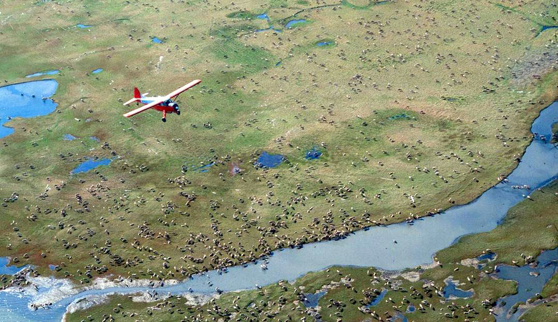 Democrats question ‘sham’ revenue projections for Arctic refuge drilling after weak auction