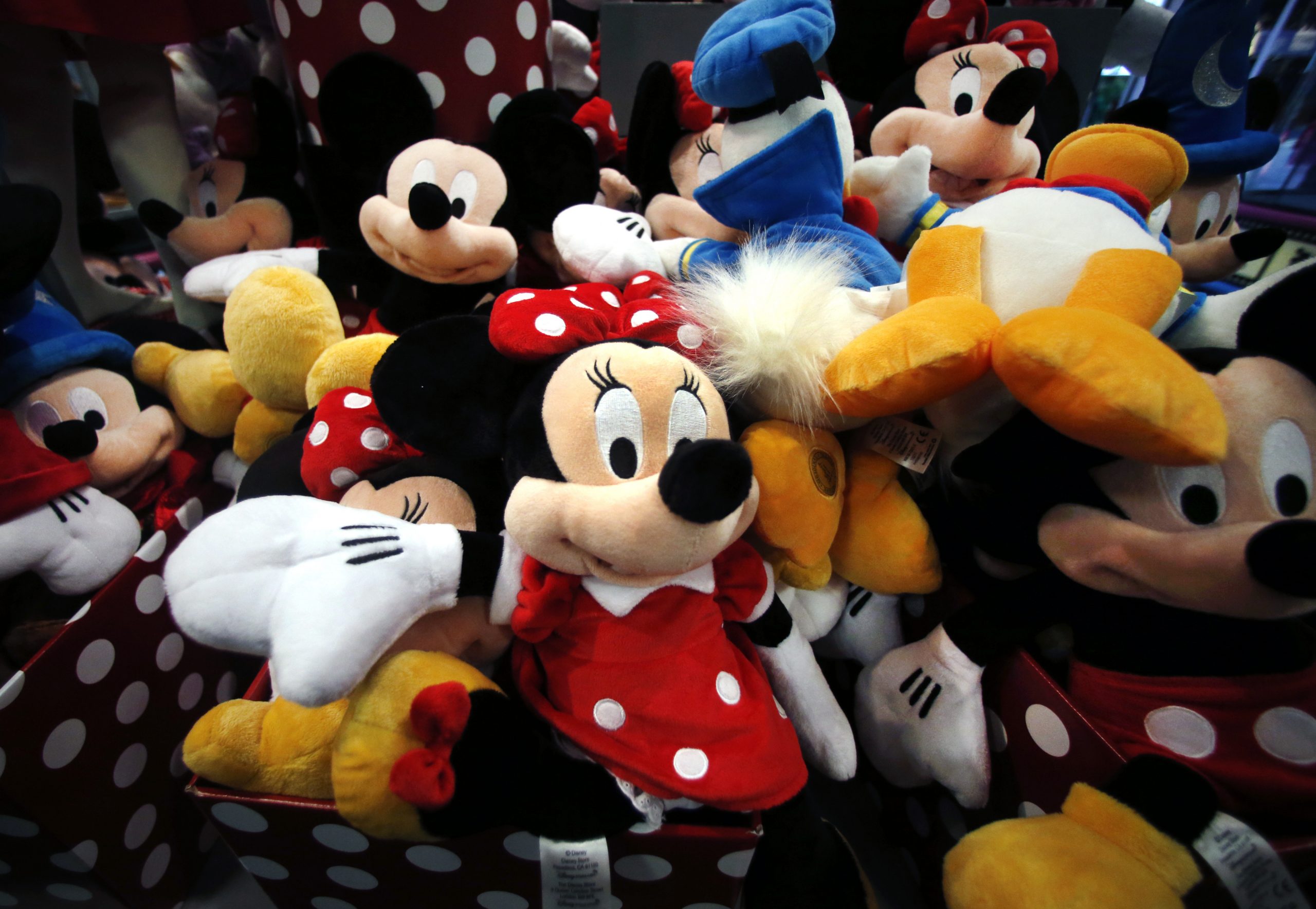 No one wants a woke mouse in their house