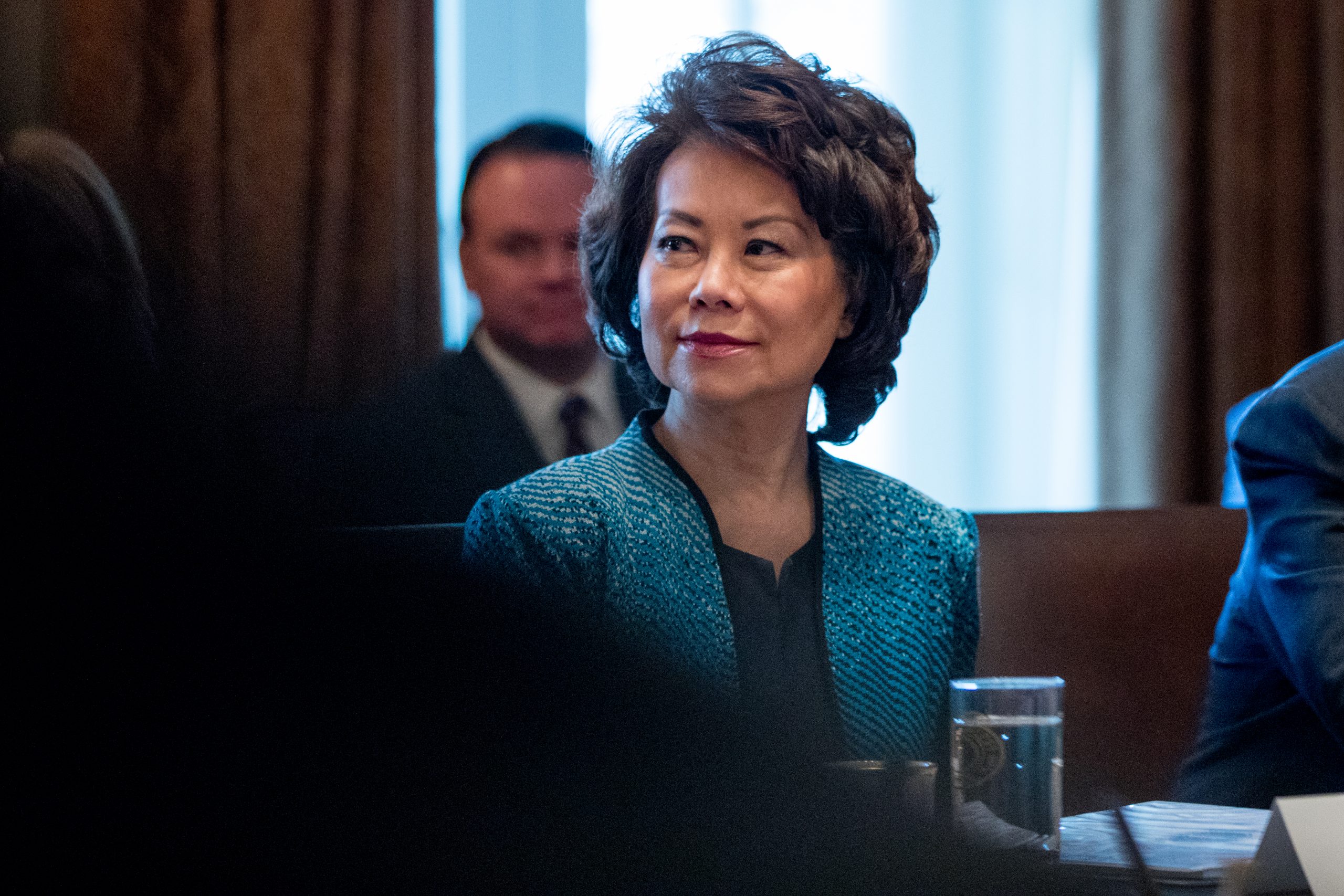 Transportation secretary’s Twitter account deletes tweet telling Dem lawmaker to sue Trump