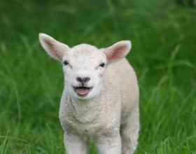 Kristol: Reconciliation “Fixes” Make Health Care Reform MORE Politically Toxic