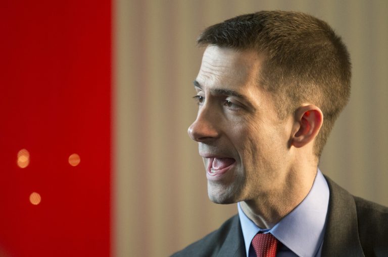 Rep. Tom Cotton, R-Ark., has come out as a vocal opponent of the Senate immigration bill. (AP File)