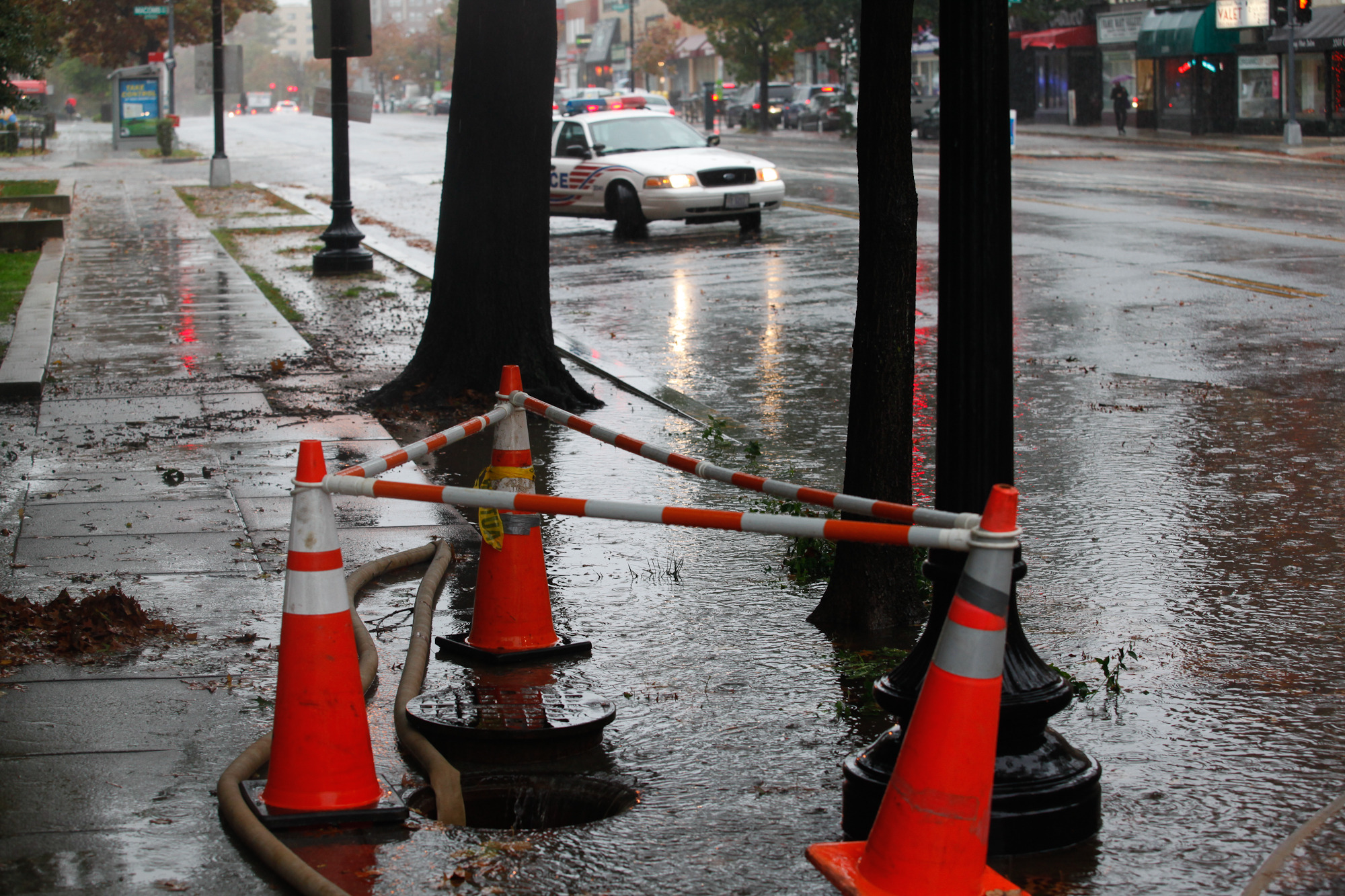 Washington begins to feel Hurricane Sandy
