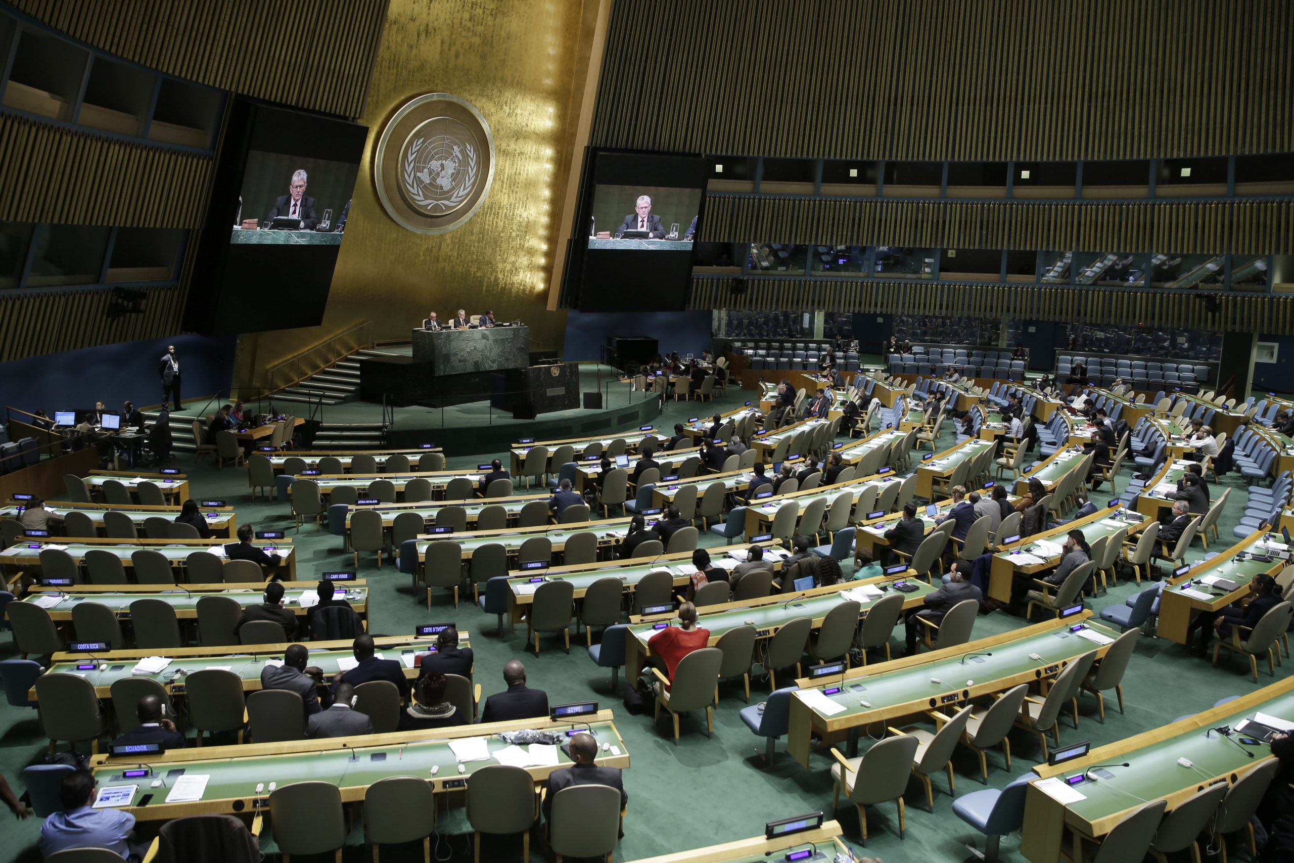 What does the United Nations do other than waste US taxpayer dollars?