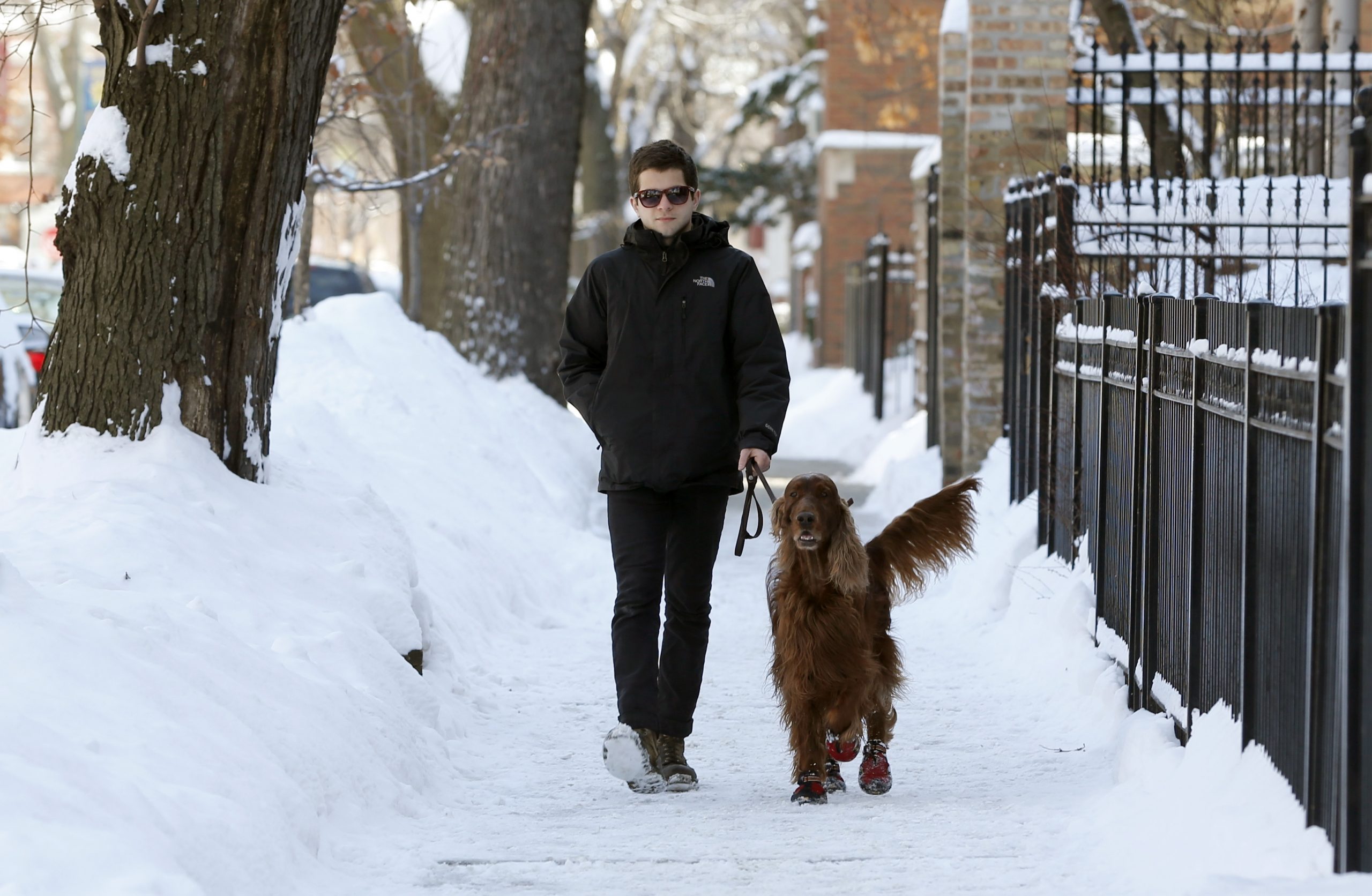 Harsh winter puts small businesses out in the cold