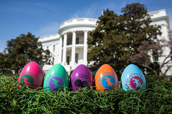 The 2014 souvenir egg 5-pack sold for $31.99.