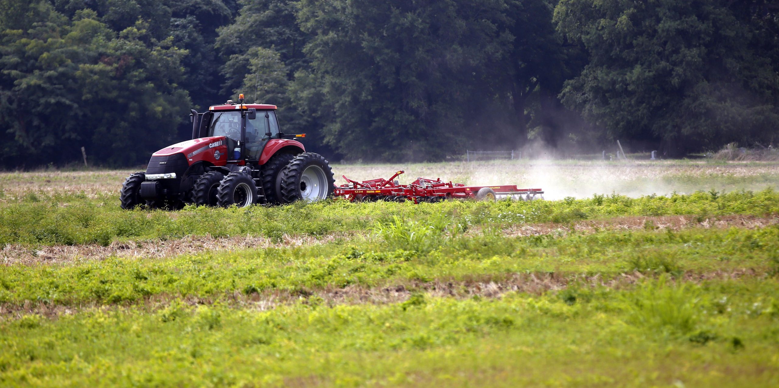 Report: GreenTech Automotive suspected in ‘visas-for-sale’ scheme