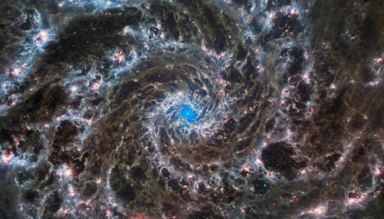 This image from the NASA/ESA/CSA James Webb Space Telescope shows the heart of M74, otherwise known as the Phantom Galaxy.