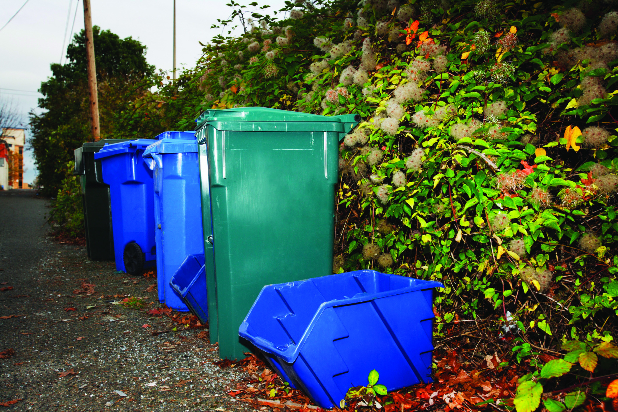 Alexandria still waiting for pricey recycling bins to pay off