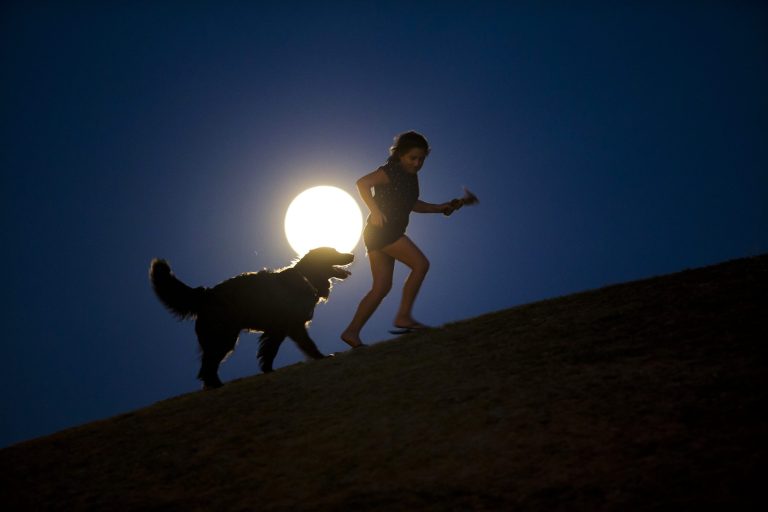 A girl plays with a dog as a perigee moon, also known as a supermoon, rises in Madrid, Sunday, Aug. 10, 2014. The phenomenon, which scientists call a perigee moon, occurs when the moon is near the horizon and appears larger and brighter than other full moons. (AP Photo/Andres Kudacki)